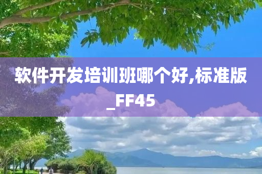 软件开发培训班哪个好,标准版_FF45