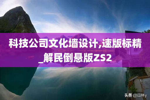 科技公司文化墙设计,速版标精_解民倒悬版ZS2