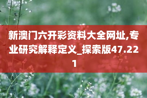 新澳门六开彩资料大全网址,专业研究解释定义_探索版47.221