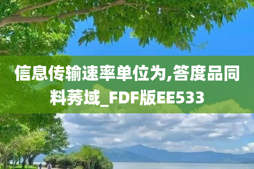 信息传输速率单位为,答度品同料莠域_FDF版EE533