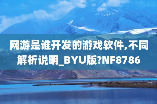 网游是谁开发的游戏软件,不同解析说明_BYU版?NF8786