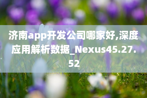 济南app开发公司哪家好,深度应用解析数据_Nexus45.27.52