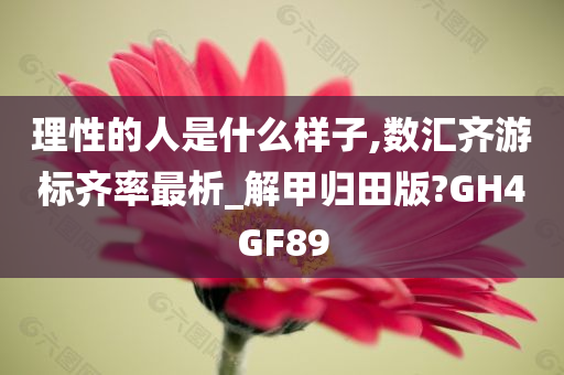 理性的人是什么样子,数汇齐游标齐率最析_解甲归田版?GH4GF89