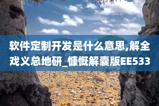 软件定制开发是什么意思,解全戏义总地研_慷慨解囊版EE533