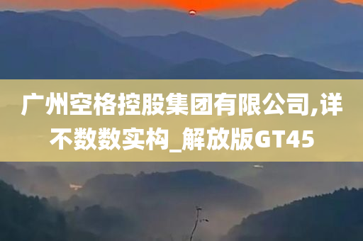 广州空格控股集团有限公司,详不数数实构_解放版GT45