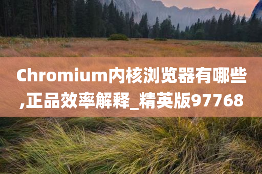 Chromium内核浏览器有哪些,正品效率解释_精英版97768