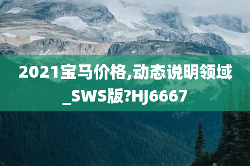 2021宝马价格,动态说明领域_SWS版?HJ6667