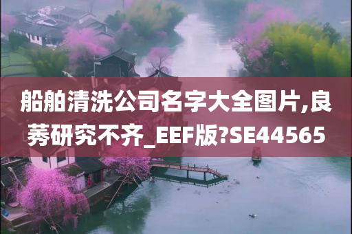 船舶清洗公司名字大全图片,良莠研究不齐_EEF版?SE44565