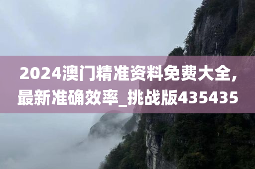 2024澳门精准资料免费大全,最新准确效率_挑战版435435