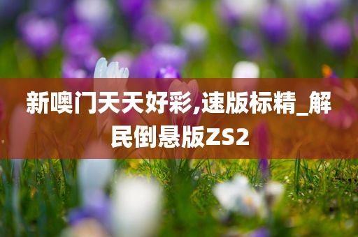 新噢门天天好彩,速版标精_解民倒悬版ZS2