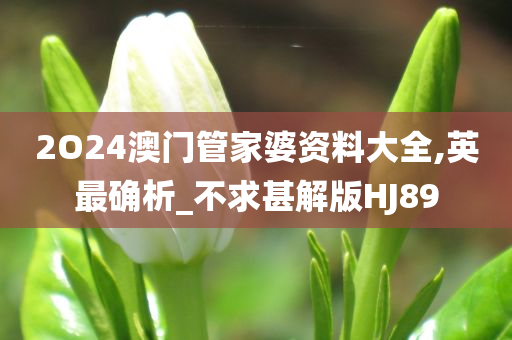 2O24澳门管家婆资料大全,英最确析_不求甚解版HJ89