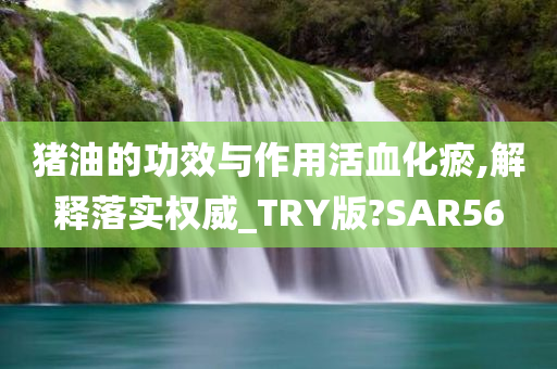 猪油的功效与作用活血化瘀,解释落实权威_TRY版?SAR56