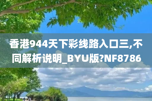 香港944天下彩线路入口三,不同解析说明_BYU版?NF8786