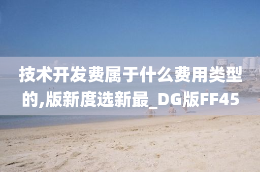 技术开发费属于什么费用类型的,版新度选新最_DG版FF45