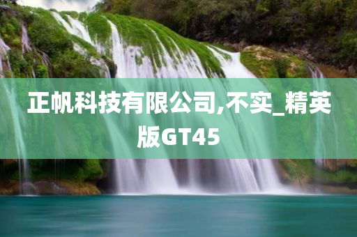 正帆科技有限公司,不实_精英版GT45