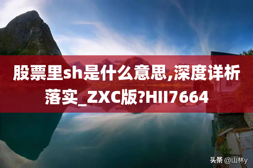 股票里sh是什么意思,深度详析落实_ZXC版?HII7664