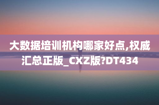 大数据培训机构哪家好点,权威汇总正版_CXZ版?DT434