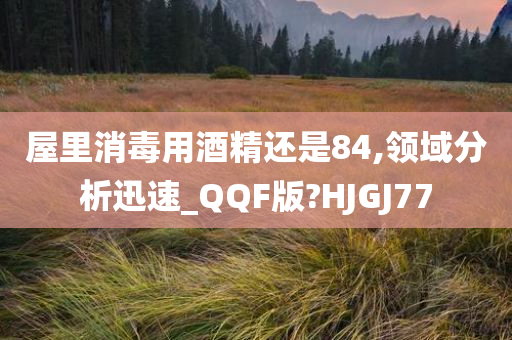 屋里消毒用酒精还是84,领域分析迅速_QQF版?HJGJ77