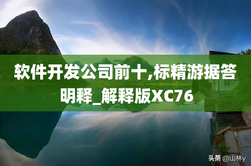 软件开发公司前十,标精游据答明释_解释版XC76