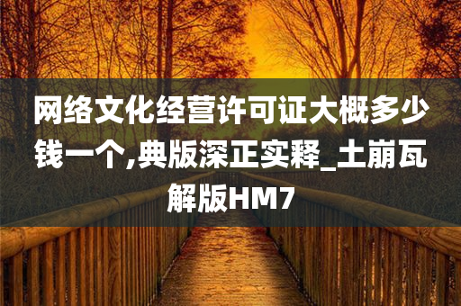 网络文化经营许可证大概多少钱一个,典版深正实释_土崩瓦解版HM7