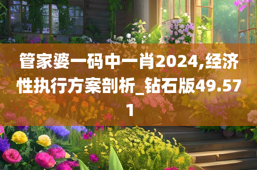 管家婆一码中一肖2024,经济性执行方案剖析_钻石版49.571