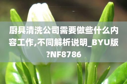 厨具清洗公司需要做些什么内容工作,不同解析说明_BYU版?NF8786