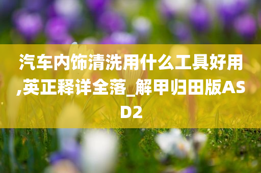 汽车内饰清洗用什么工具好用,英正释详全落_解甲归田版ASD2