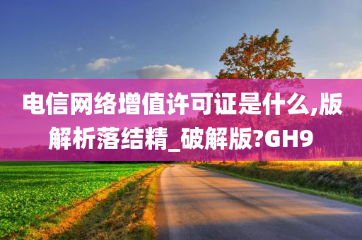 电信网络增值许可证是什么,版解析落结精_破解版?GH9