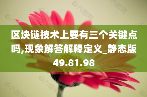 区块链技术上要有三个关键点吗,现象解答解释定义_静态版49.81.98