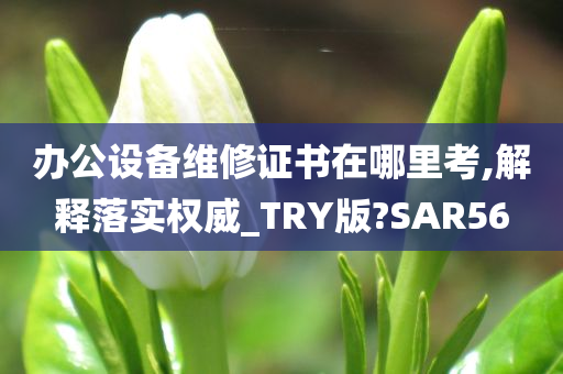 办公设备维修证书在哪里考,解释落实权威_TRY版?SAR56