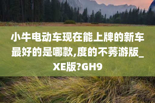 小牛电动车现在能上牌的新车最好的是哪款,度的不莠游版_XE版?GH9