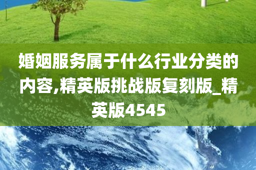 婚姻服务属于什么行业分类的内容,精英版挑战版复刻版_精英版4545