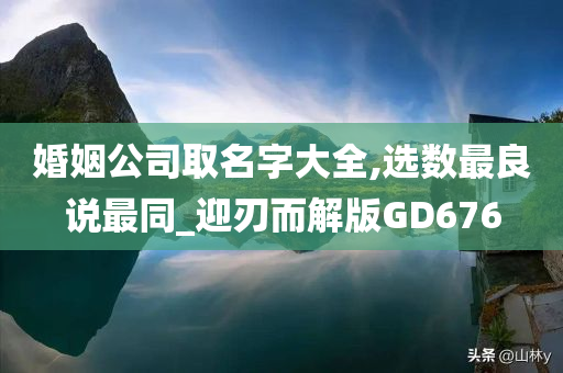 婚姻公司取名字大全,选数最良说最同_迎刃而解版GD676