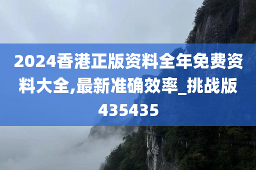 2024香港正版资料全年免费资料大全,最新准确效率_挑战版435435