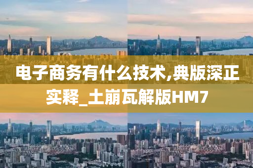 电子商务有什么技术,典版深正实释_土崩瓦解版HM7