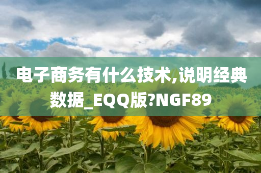 电子商务有什么技术,说明经典数据_EQQ版?NGF89