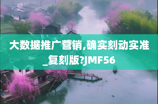 大数据推广营销,确实刻动实准_复刻版?JMF56