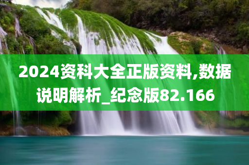 2024资科大全正版资料,数据说明解析_纪念版82.166