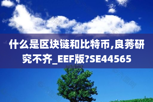 什么是区块链和比特币,良莠研究不齐_EEF版?SE44565