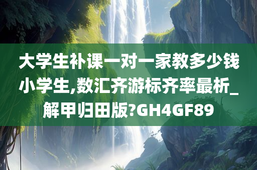 大学生补课一对一家教多少钱小学生,数汇齐游标齐率最析_解甲归田版?GH4GF89