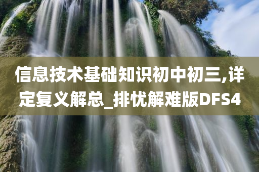 信息技术基础知识初中初三,详定复义解总_排忧解难版DFS4