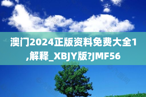 澳门2024正版资料免费大全1,解释_XBJY版?JMF56