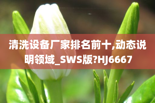 清洗设备厂家排名前十,动态说明领域_SWS版?HJ6667