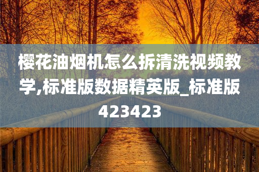 樱花油烟机怎么拆清洗视频教学,标准版数据精英版_标准版423423