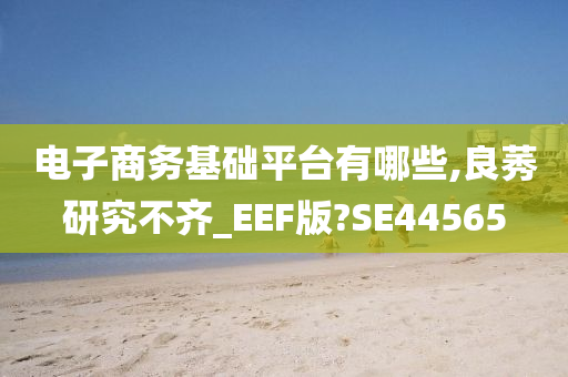 电子商务基础平台有哪些,良莠研究不齐_EEF版?SE44565