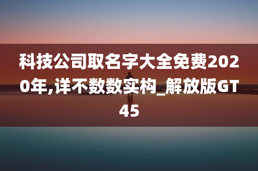 科技公司取名字大全免费2020年,详不数数实构_解放版GT45