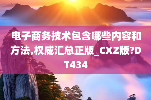 电子商务技术包含哪些内容和方法,权威汇总正版_CXZ版?DT434