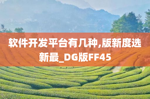 软件开发平台有几种,版新度选新最_DG版FF45