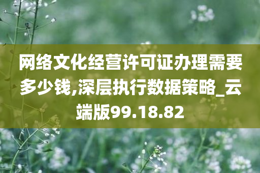 网络文化经营许可证办理需要多少钱,深层执行数据策略_云端版99.18.82