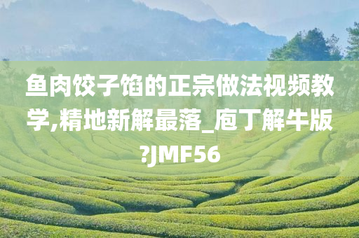 鱼肉饺子馅的正宗做法视频教学,精地新解最落_庖丁解牛版?JMF56